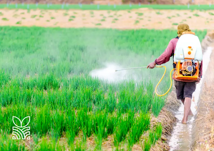 Governo Federal Prepara Programa para Redução do Uso de Defensivos Agrícolas