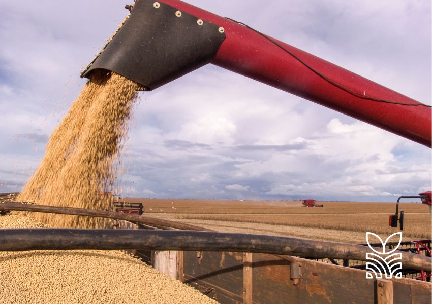 Exportações do Agronegócio Brasileiro Batem Recorde em Outubro