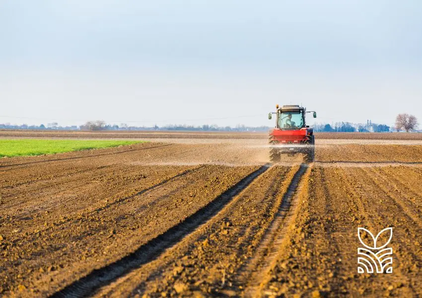 STF debate isenção fiscal para agroquímicos