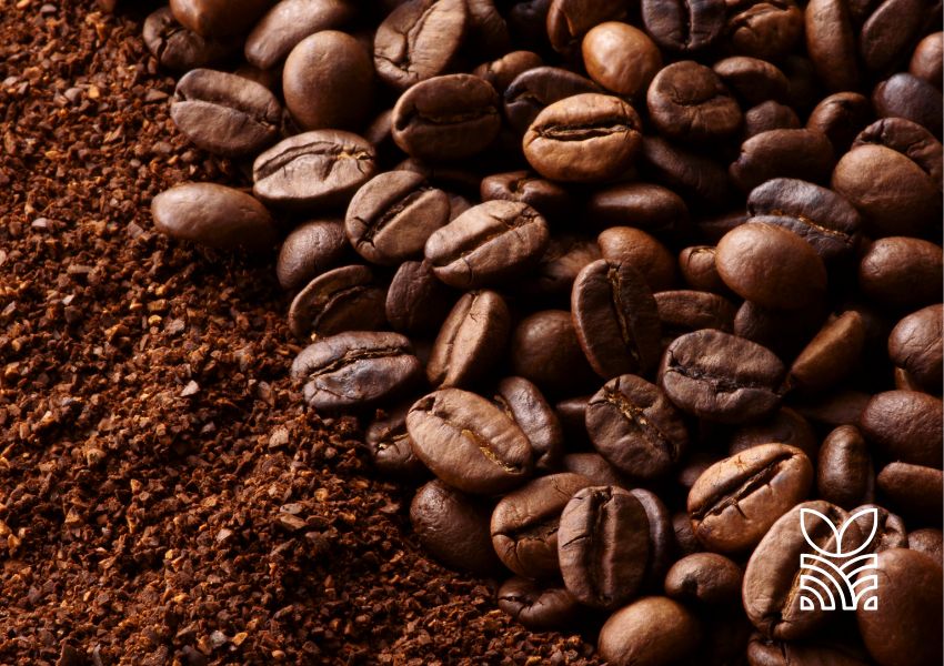 Sete marcas de café são desclassificadas por irregularidades