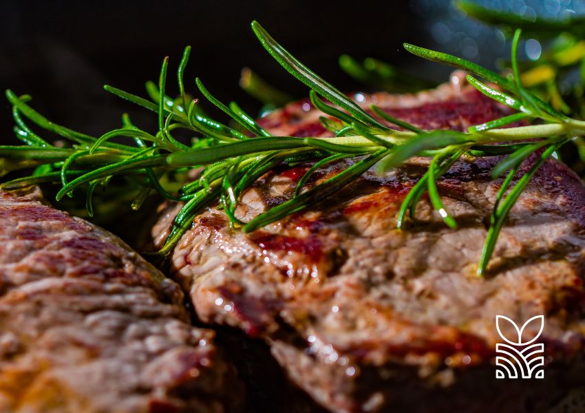 A Importância da Carne Vermelha na Alimentação Humana: Mitos e Benefícios