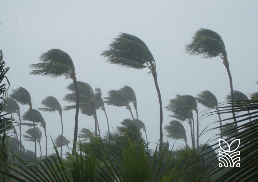 Alerta para a Região Sul: Ciclone Extratropical e Chuvas Intensas no Final de Semana