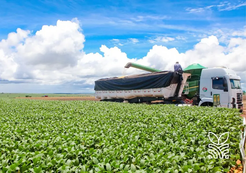 Maranhão e a Nova Contribuição Especial de Grãos: O Impacto da Lei 12.428/2024 no Setor Agrícola