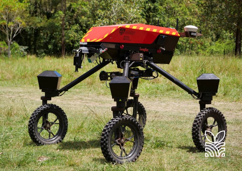 SwagBot: O Robô Que Promete Revolucionar a Pecuária