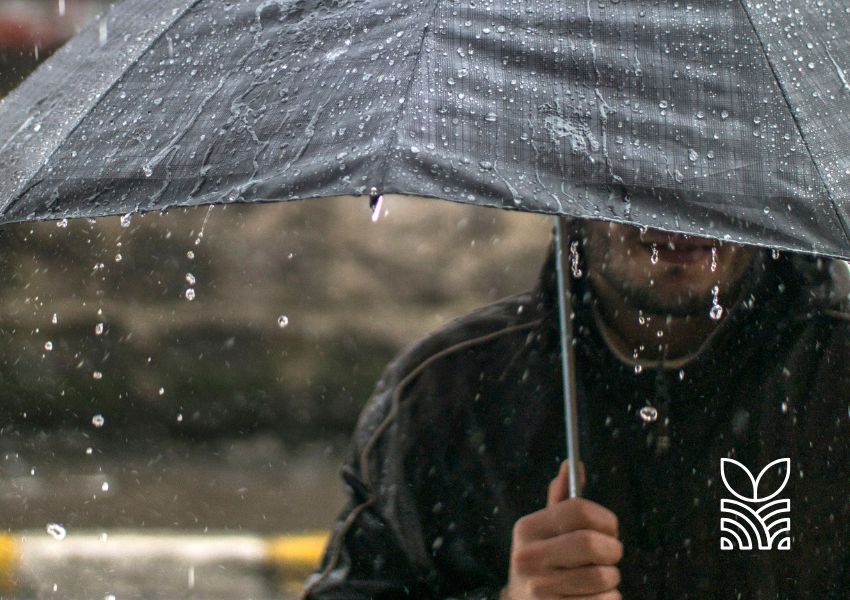 Previsão do Tempo no Brasil: Calor e Umidade Impulsionam Chuvas em Grande Parte do País