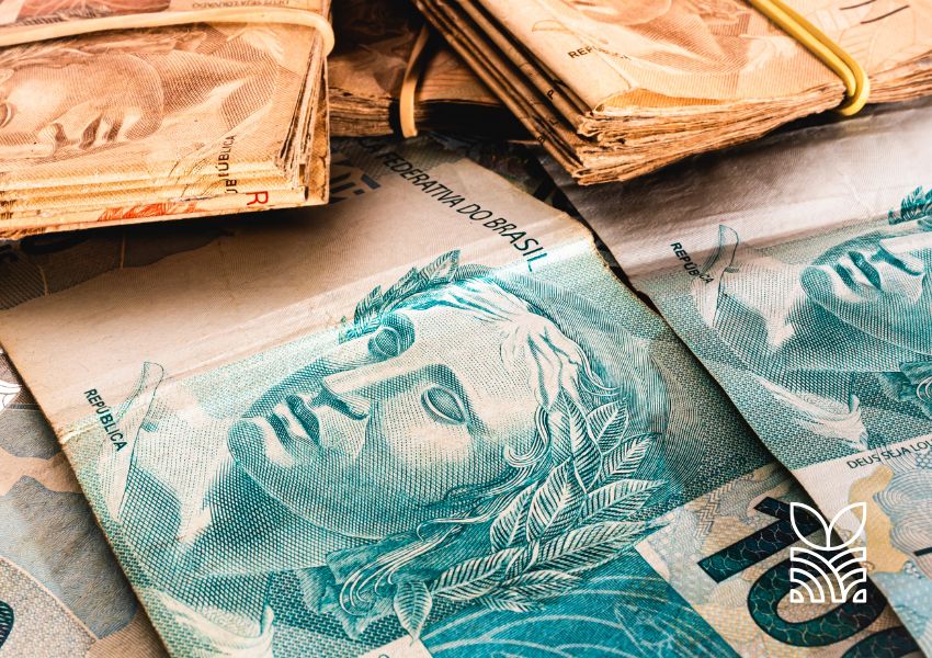 Projeções Econômicas para 2025: Inflação, Juros, Dólar e PIB